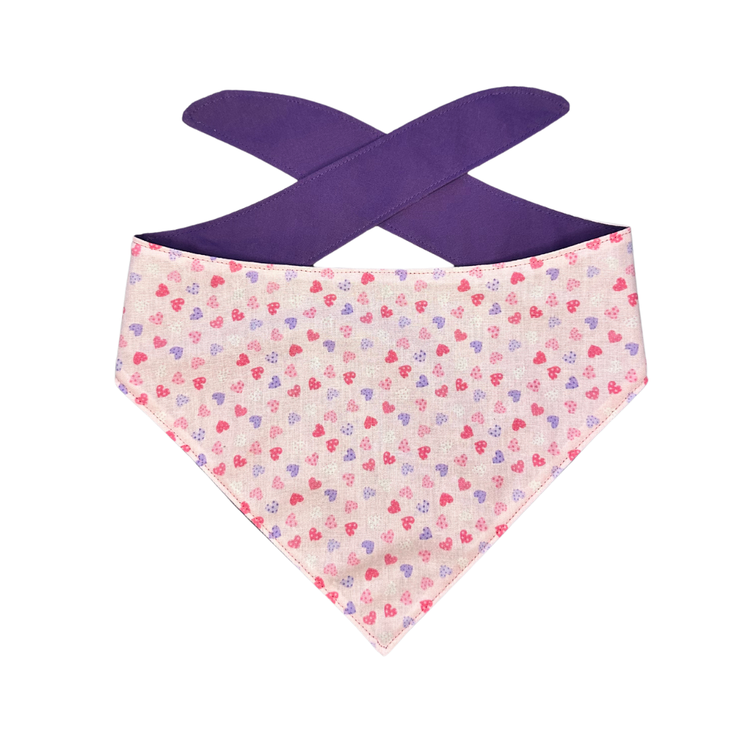 Tiny Hearts Bandana