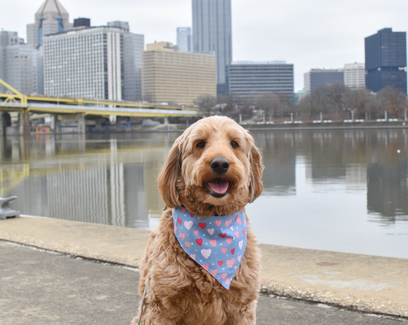 Dots & Hearts Bandana