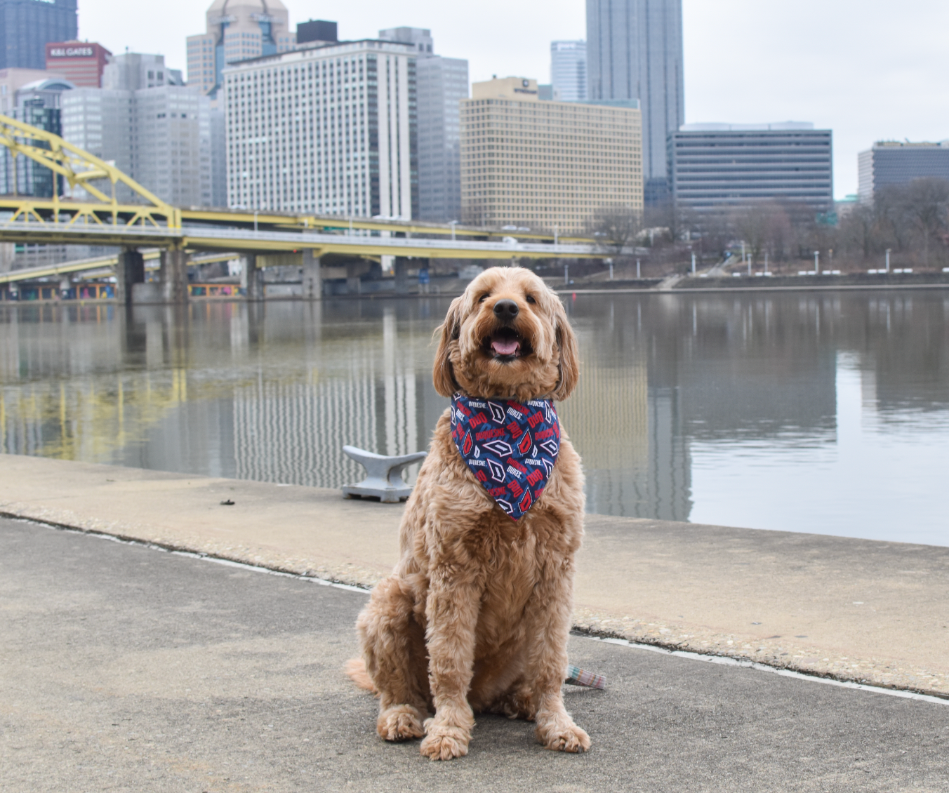 Duquesne Dukes Bandana